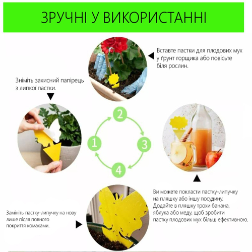 Комплект Двусторонних Липучек-Ловушек для Насекомых - 25 шт –  Магазин Икон | Фотография 2