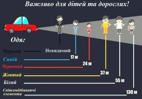 Светоотражающий Жилет с Крос-Лентами - Универсальный Размер –  Магазин Икон | Фотография 8